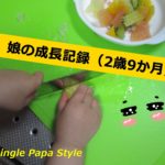 娘の成長記録(2歳9ヶ月)